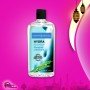 HYDRA PLANT CELLULOSE WATERBASED LUBRICANT GLYCERINE FREE CGS-17
